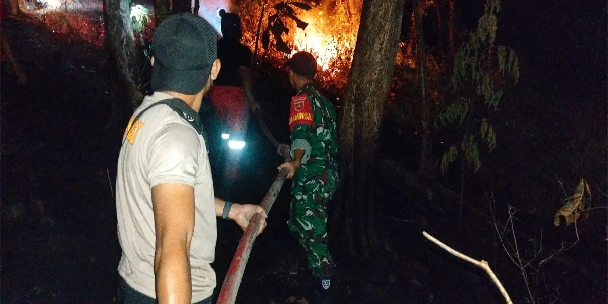 Petugas tengah memadamkan kebakaran hutan.