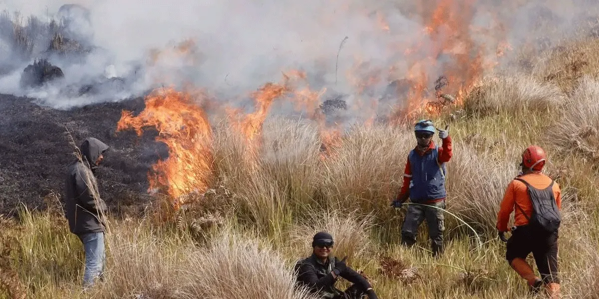 Personel gabungan berjibaku memadamkan api di Blok Jantur, kawasan Taman Nasional Bromo Tengger Semeru (TNBTS), Jawa Timur, menyusul kebakaran yang melanda kawasan tersebut.