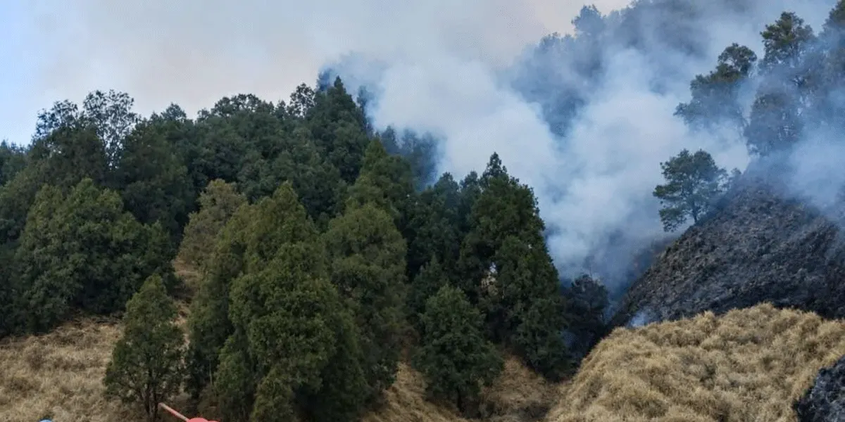 Kobaran api meluas di kawasan Taman Nasional Bromo Tengger Semeru, menyelimuti lereng Bromo hingga mengarah ke Probolinggo dan Penanjakan Pasuruan.