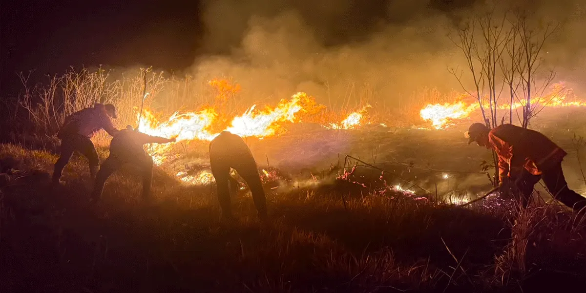 Tim gabungan terus melakukan pemadaman siang dan malam guna memadamkan kebakaran di Gunung Bromo, Jawa Timur pada Sabtu (8/8/2026).