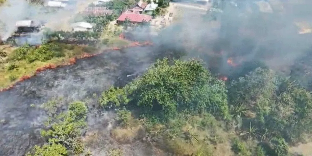 Kebakaran hutan dan lahan (karhutla) yang melanda wilayah Kabupaten Sidenreng Rappang, Provinsi Sulawesi Selatan, Selasa (11/8/2026).