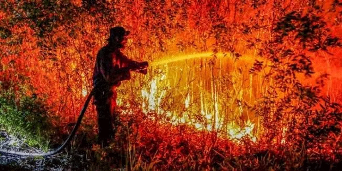 Karhutla Kalimantan Lumpuhkan Wellness Tourism.