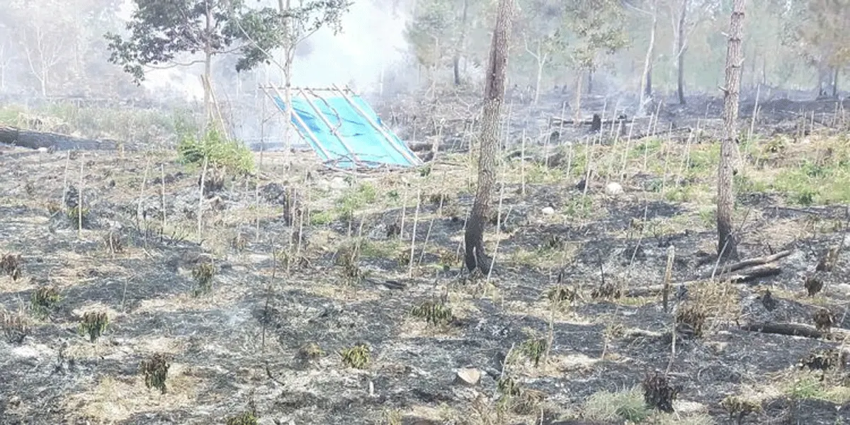 Kebakaran hutan dan lahan.