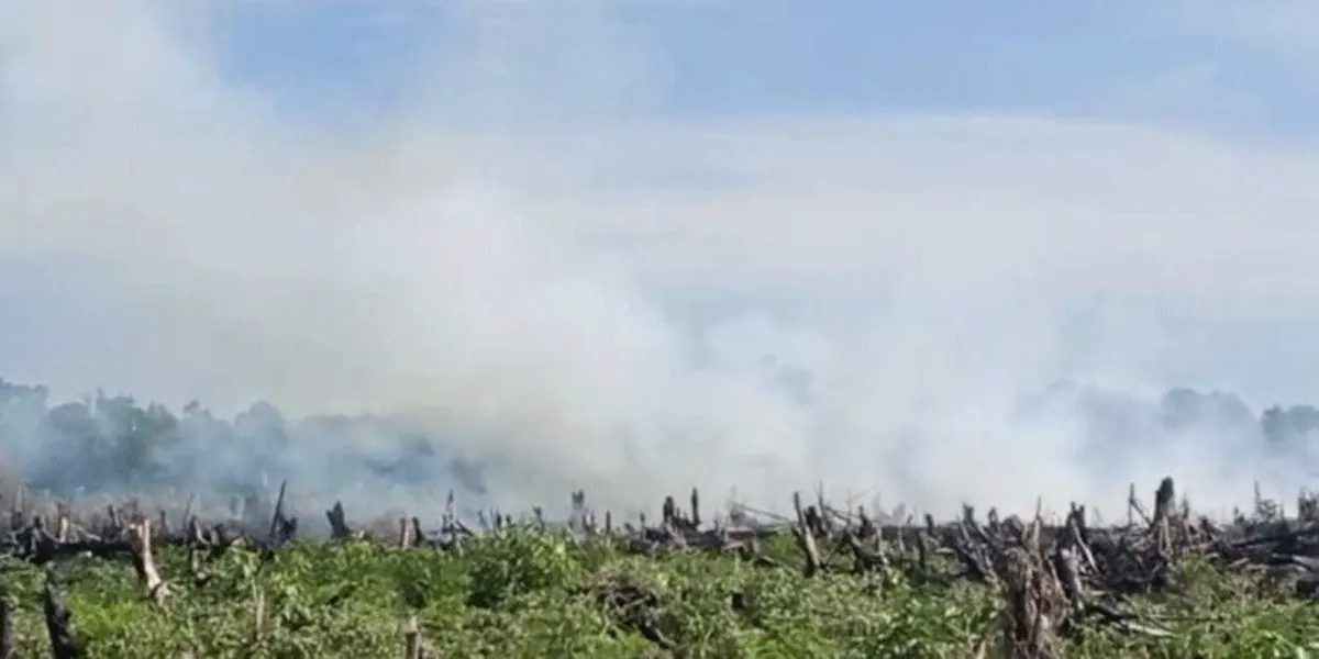 Kebakaran hutan dan lahan.