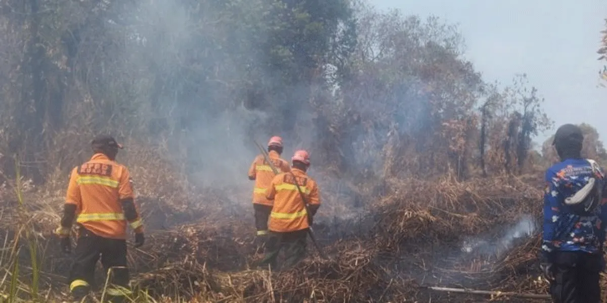 Petugas gabungan melakukan upaya pemadaman kebakaran lahan di Desa Santan Ilir, Kabupaten Kutai Kartanegara, Kalimantan Timur pada Rabu (26/8).