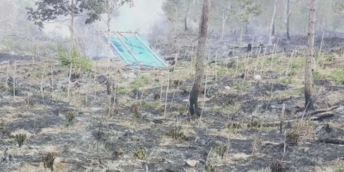 Kebakaran hutan dan lahan.