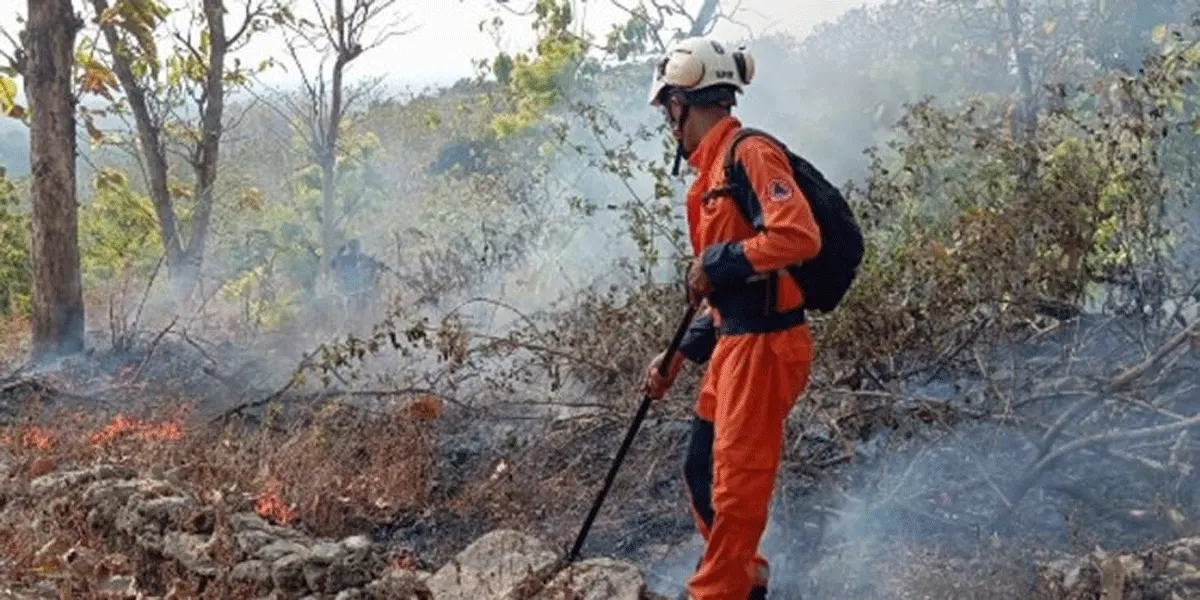 Kebakaran hutan dan lahan.