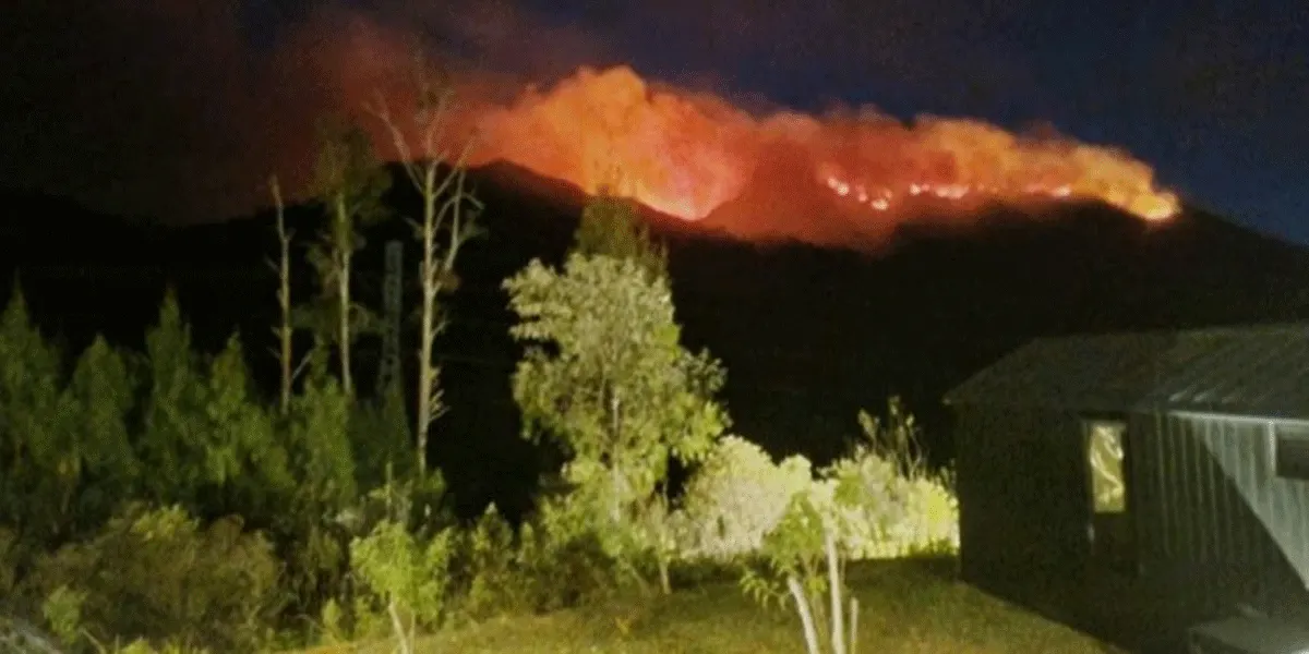 Kondisi kebakaran hutan dan lahan di lereng Gunung Ungup-Ungup, Kabupaten Banyuwangi-Bondowoso, Jawa Timur, Jumat (4/9/2026).