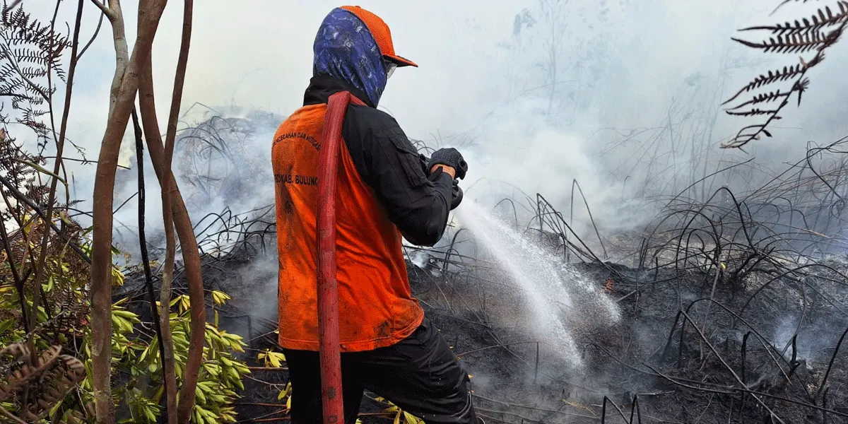 Kebakaran hutan dan lahan.