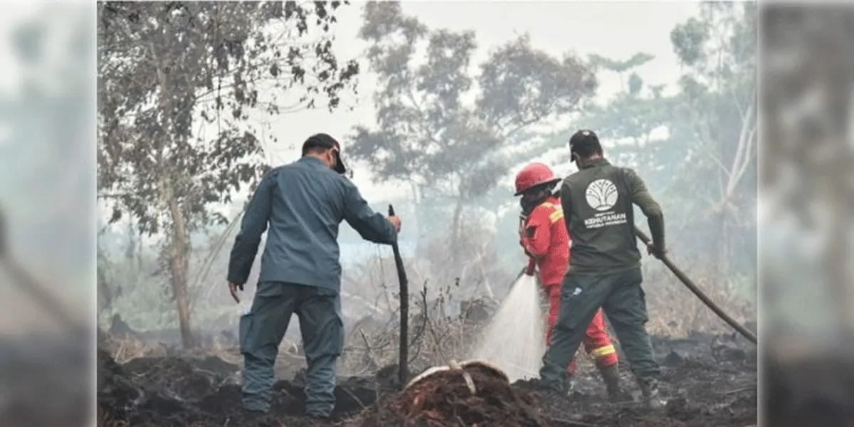 Petugasnya tengah melakukan pemadaman kebakaran hutan dan lahan.