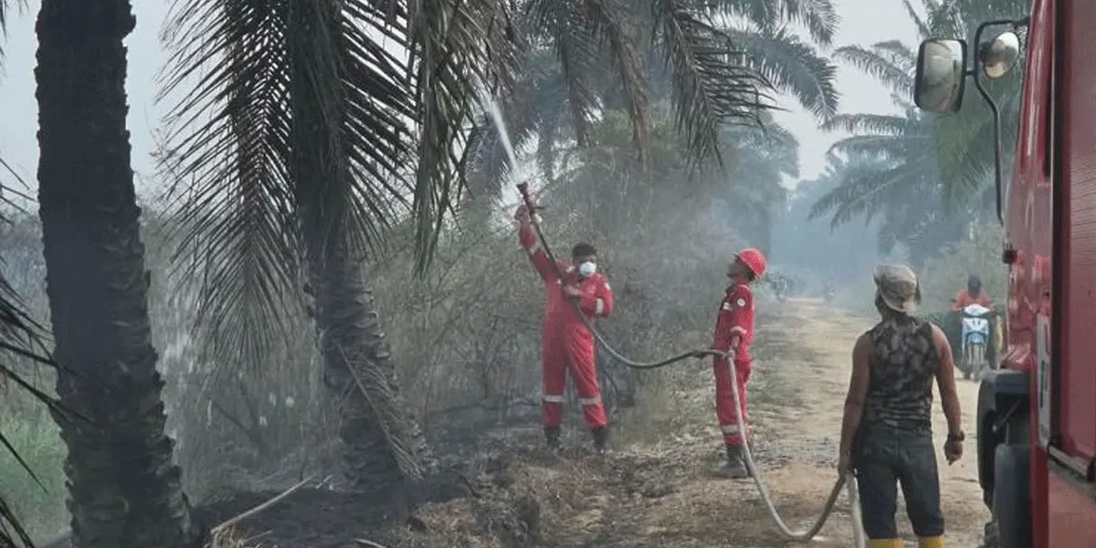 Fire Brigade Pertamina EP Lirik melakukan pendinginan dan pemantauan area pascapemadaman untuk mencegah munculnya titik api susulan.