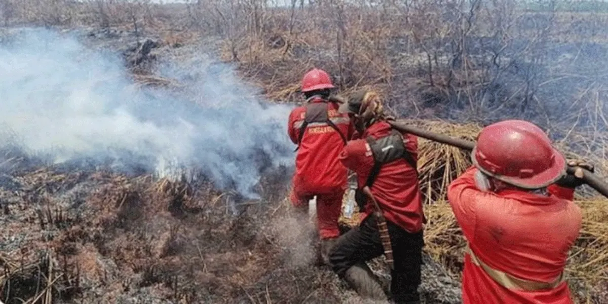 Petugas tengah memadamkan kebakaran hutan dan lahan.