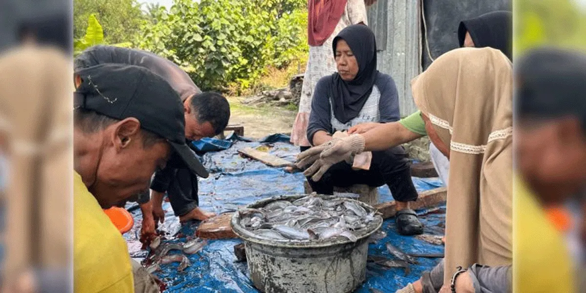 Sebagai program intervensi PT Pertamina Hulu Rokan (PHR), Magnifina memberdayakan delapan kelompok pembudidaya ikan serta kelompok rentan melalui bantuan, pelatihan, dan dorongan inovasi terintegrasi.