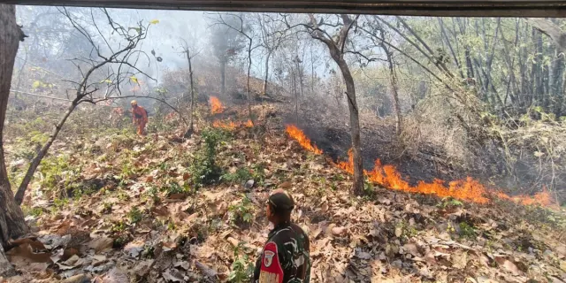 Api Masih Membara di Bromo, Lebih dari 176 Hektare Lahan Terbakar